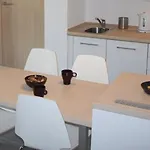 Daire Krokusowa Polana *