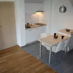 Daire Krokusowa Polana Kościelisko
